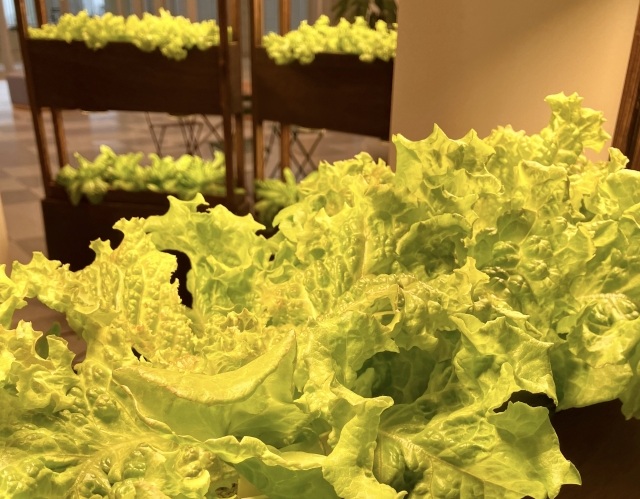 食品飲料市場ニュース