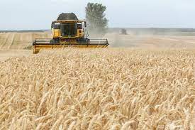 食品飲料市場ウオッチ